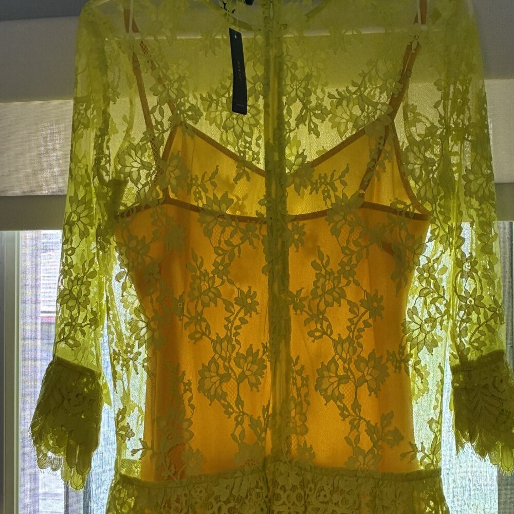 J Crew lemon yellow lace dress NWT - drop waist lined Size 4. - Picture 4 of 6